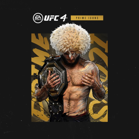 Аренда UFC 4 PS4 и PS5